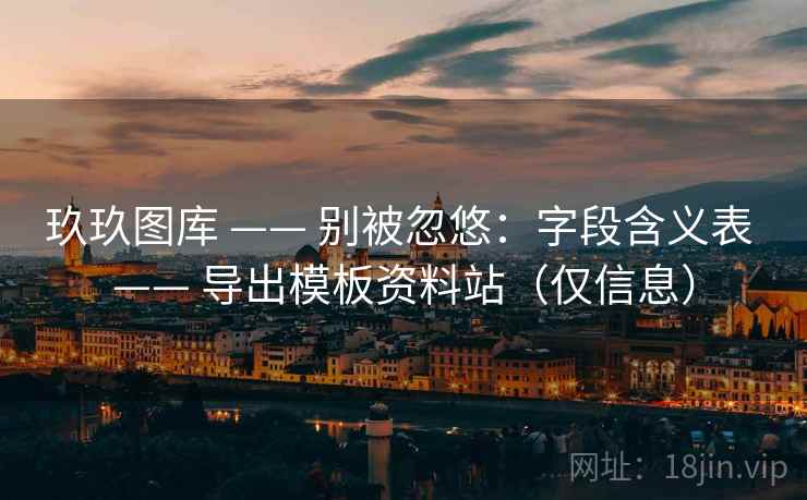 玖玖图库 —— 别被忽悠：字段含义表 导出模板资料站（仅信息）  第2张